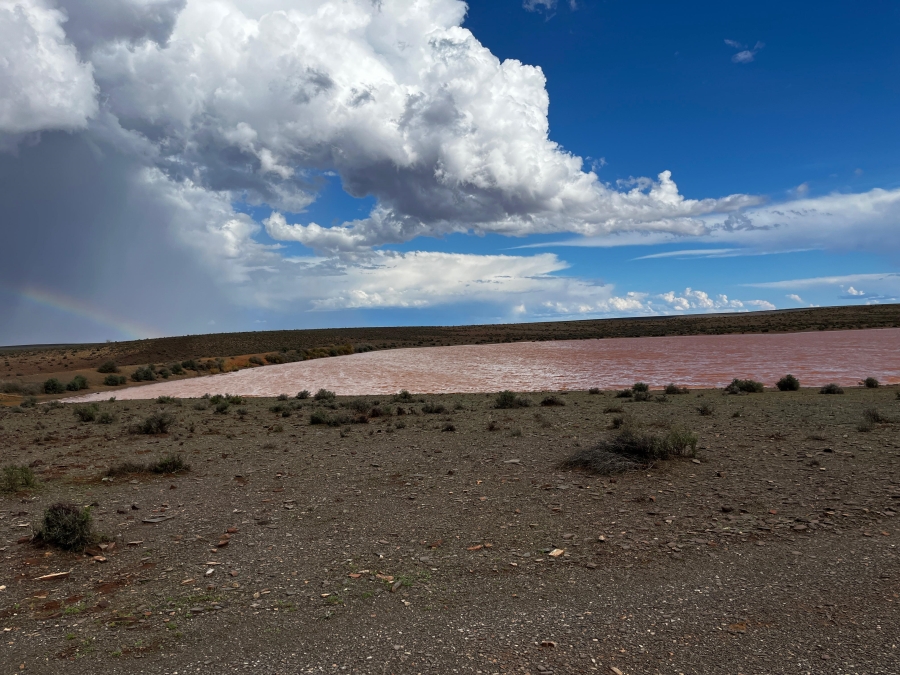 4 Bedroom Property for Sale in Calvinia Rural Northern Cape